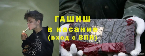 стаф Волоколамск