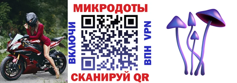Псилоцибиновые грибы Cubensis  Питкяранта 